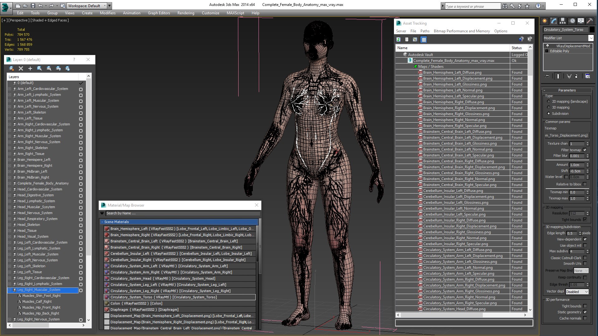 complete female body anatomy skin 3D model https://p.turbosquid.com/ts-thumb/N1/Ou5Ovc/c2UGmc55/completefemalebodyanatomy3dsmodel067/jpg/1598301189/1920x1080/fit_q87/b3f129a632da9ee64caa8993aa5f7d1ead207194/completefemalebodyanatomy3dsmodel067.jpg