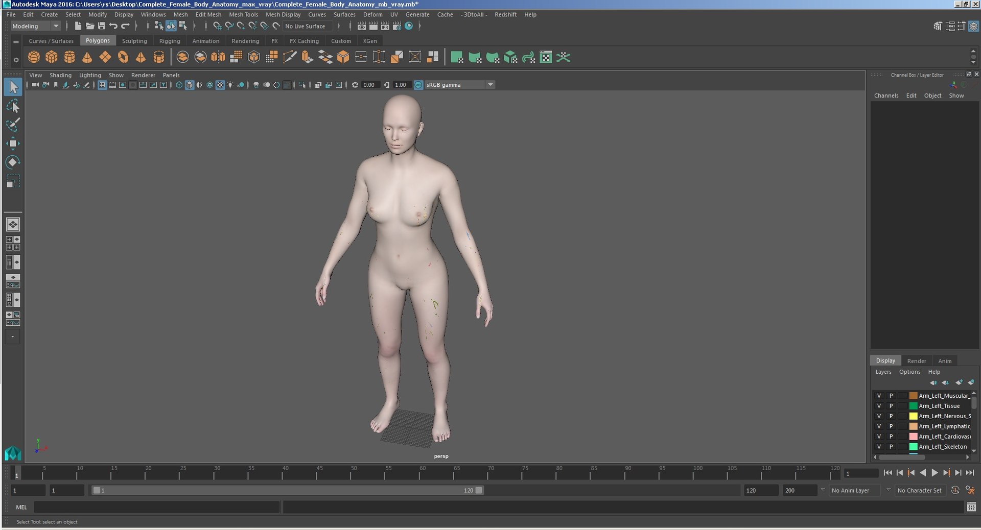 complete female body anatomy skin 3D model https://p.turbosquid.com/ts-thumb/N1/Ou5Ovc/ddzzRYhQ/completefemalebodyanatomy3dsmodel107/jpg/1598301351/1920x1080/fit_q87/cfc0d77c9294e8aa42f1fa7023cdb9fd23cce92e/completefemalebodyanatomy3dsmodel107.jpg