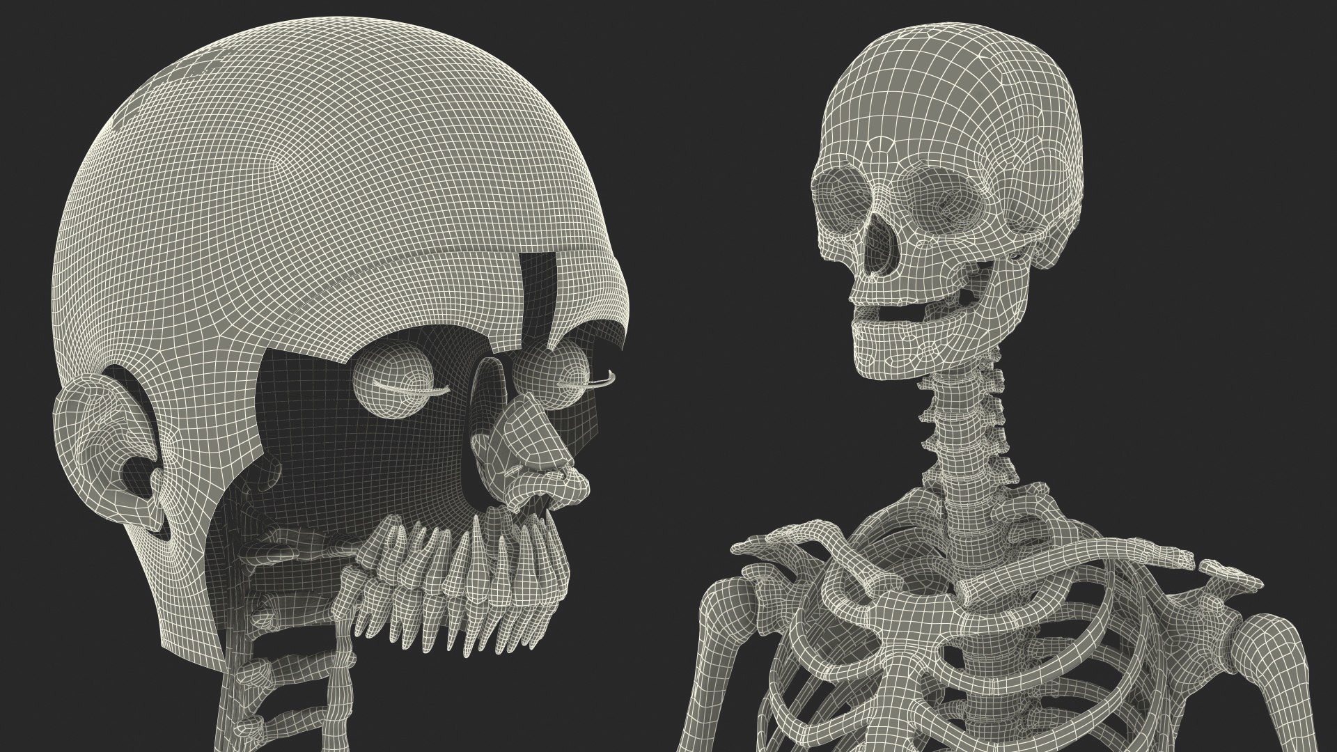 complete female body anatomy skin 3D model https://p.turbosquid.com/ts-thumb/N1/Ou5Ovc/iJmB7BOE/completefemalebodyanatomy3dsmodel073/jpg/1598301221/1920x1080/fit_q87/a311a70fa7520b314375ebb4f2ce4c91b4e5d324/completefemalebodyanatomy3dsmodel073.jpg
