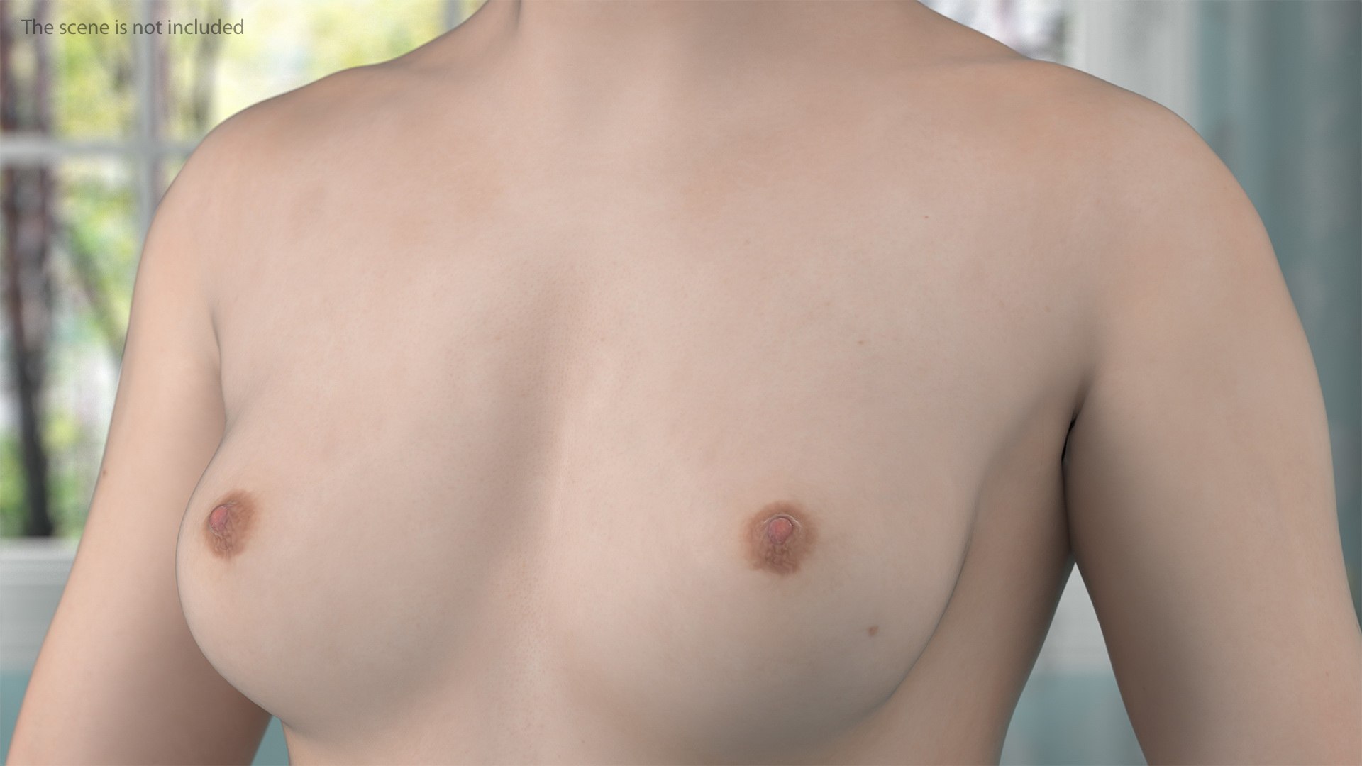 complete female body anatomy skin 3D model https://p.turbosquid.com/ts-thumb/N1/Ou5Ovc/mtIvoeuv/completefemalebodyanatomy3dsmodel017/jpg/1598300756/1920x1080/fit_q87/365b3a5889c9fae84e08a4fcb933a63e87176d87/completefemalebodyanatomy3dsmodel017.jpg