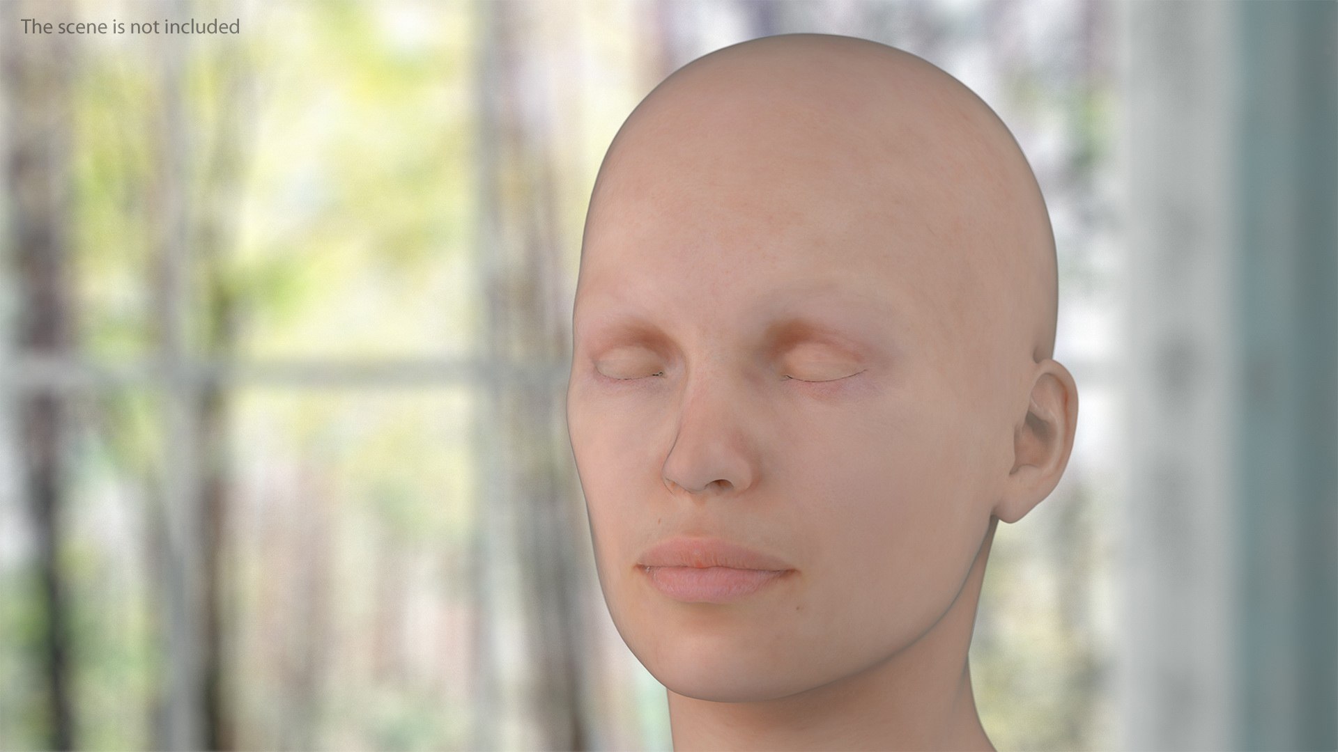 complete female body anatomy skin 3D model https://p.turbosquid.com/ts-thumb/N1/Ou5Ovc/z8Uy9dnR/completefemalebodyanatomy3dsmodel020/jpg/1598300787/1920x1080/fit_q87/7d53d9aa5b9c2431072b93d1ad8fa63d0bb21a4b/completefemalebodyanatomy3dsmodel020.jpg