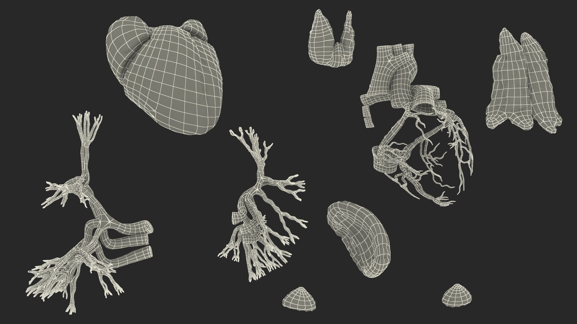 complete female body anatomy skin 3D model https://p.turbosquid.com/ts-thumb/N1/Ou5Ovc/zNLLqRRS/completefemalebodyanatomy3dsmodel087/jpg/1598301310/1920x1080/fit_q87/0169eb28eb9b276bd1fdb460d991f73d1d5c0e1b/completefemalebodyanatomy3dsmodel087.jpg