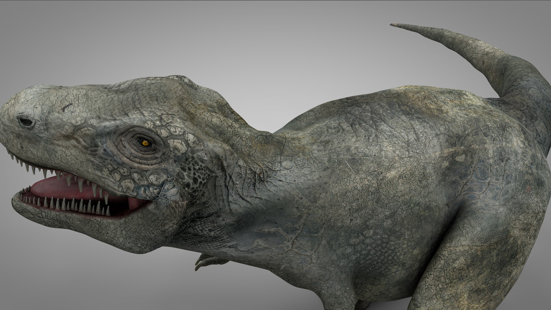 3D rex l973 animate model https://p.turbosquid.com/ts-thumb/N1/R0IbGq/ooi6oHJj/11/png/1601429782/1920x1080/fit_q87/bf635f618562b4f2e811f46111b8f99bfe0ed82a/11.jpg