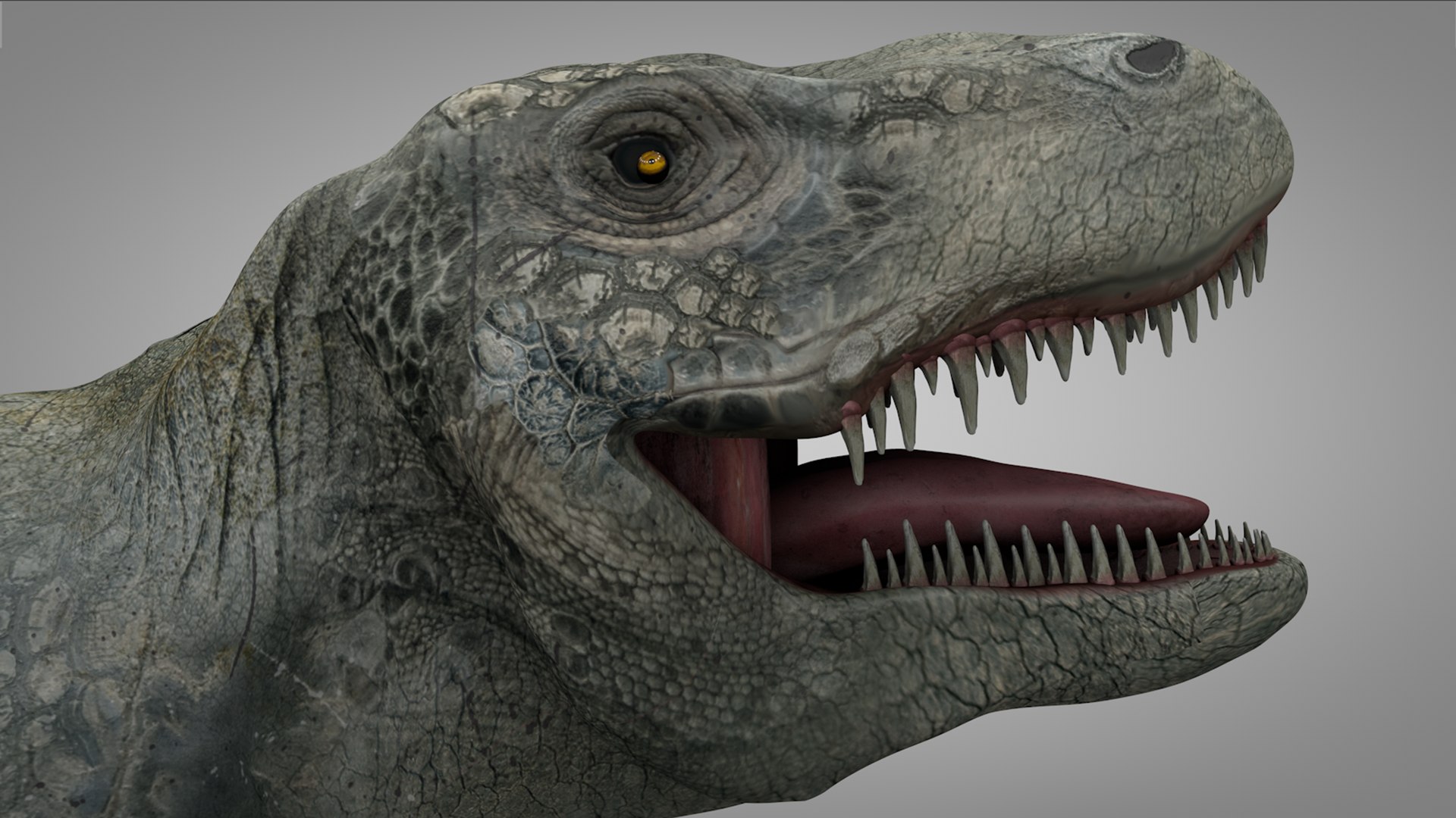 3D rex l973 animate model https://p.turbosquid.com/ts-thumb/N1/R0IbGq/rly79DeS/15/png/1601429788/1920x1080/fit_q87/ade60d52e11d41b53d698387d6bf15580f3c510d/15.jpg