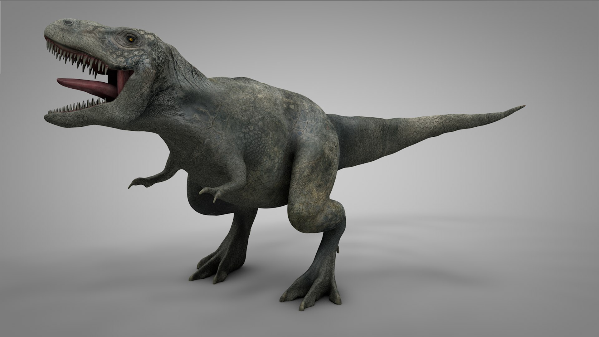3D rex l973 animate model https://p.turbosquid.com/ts-thumb/N1/R0IbGq/xCvs56Pf/14/png/1601429784/1920x1080/fit_q87/88f3cffb9e77d72685deda368721f0a4ea0a414e/14.jpg