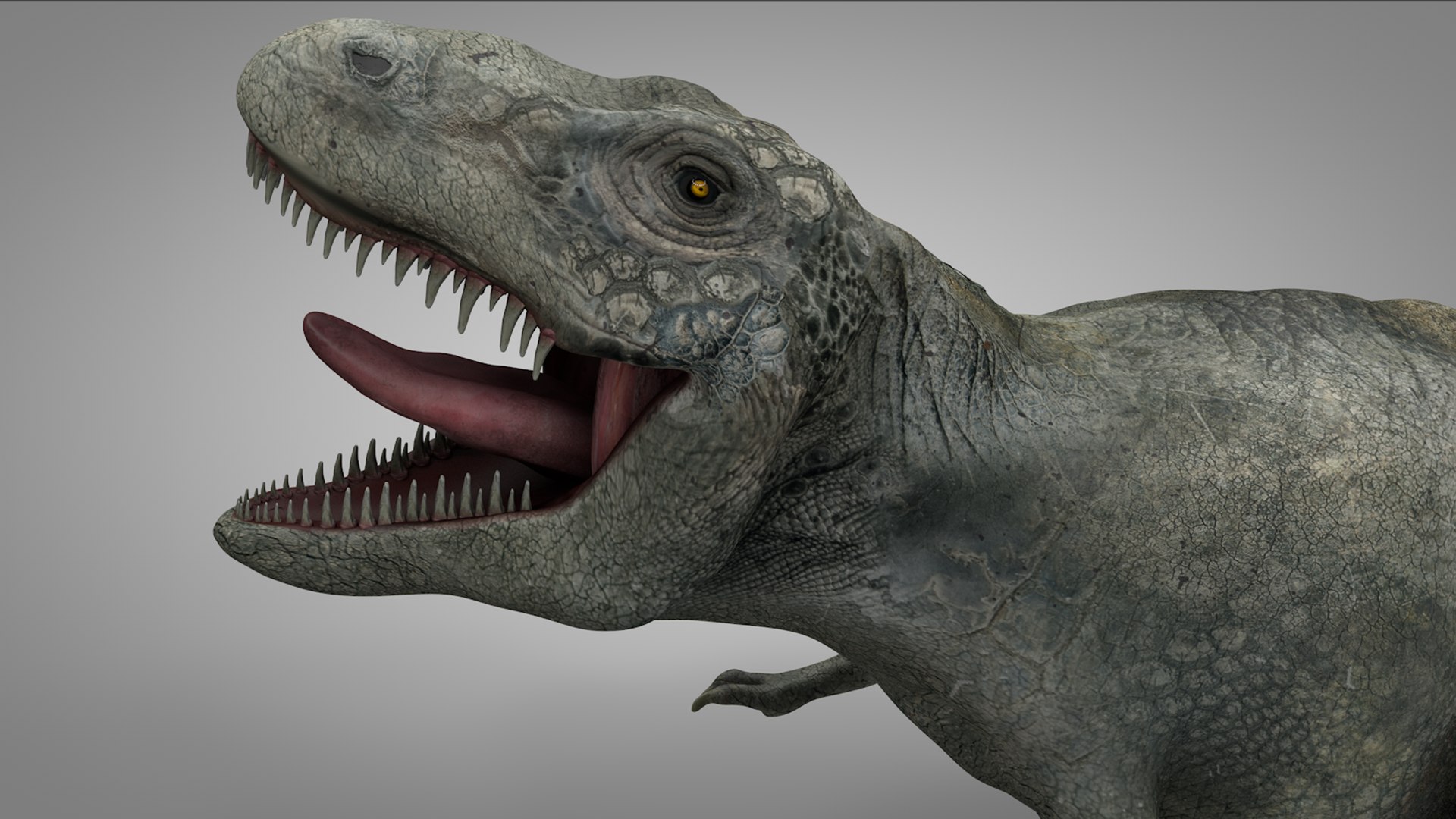 3D rex l973 animate model https://p.turbosquid.com/ts-thumb/N1/R0IbGq/yMNf8rTV/04/png/1601429762/1920x1080/fit_q87/79a3b94042f42fe6787c105eae048116617d2b73/04.jpg