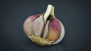 Open garlic