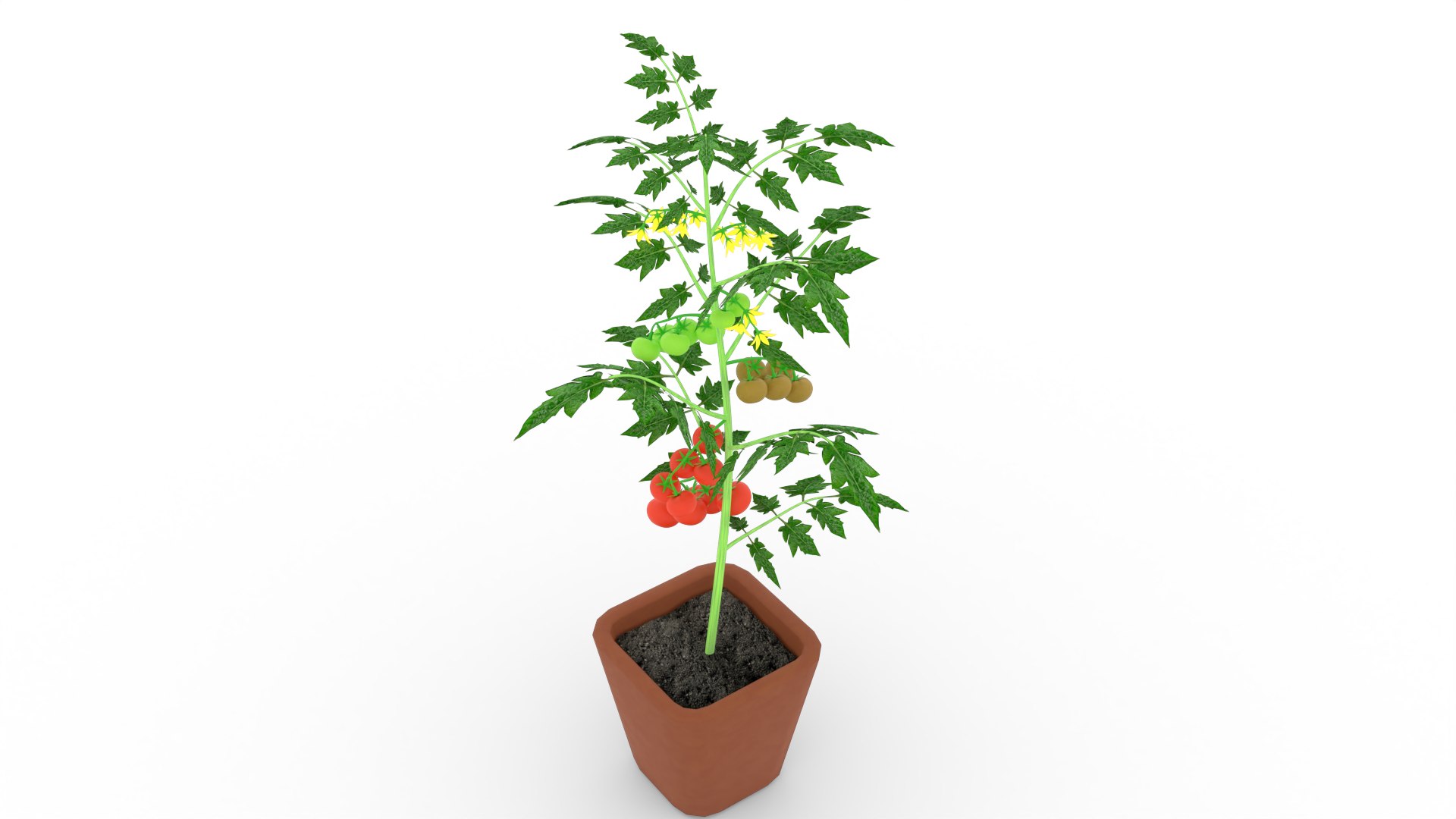3D Tomato Plant https://p.turbosquid.com/ts-thumb/N1/UeCDP0/LR/011untitled/png/1682953549/1920x1080/fit_q87/97c077f7f89658edccb9ca0e0f0a8567828b8aab/011untitled.jpg