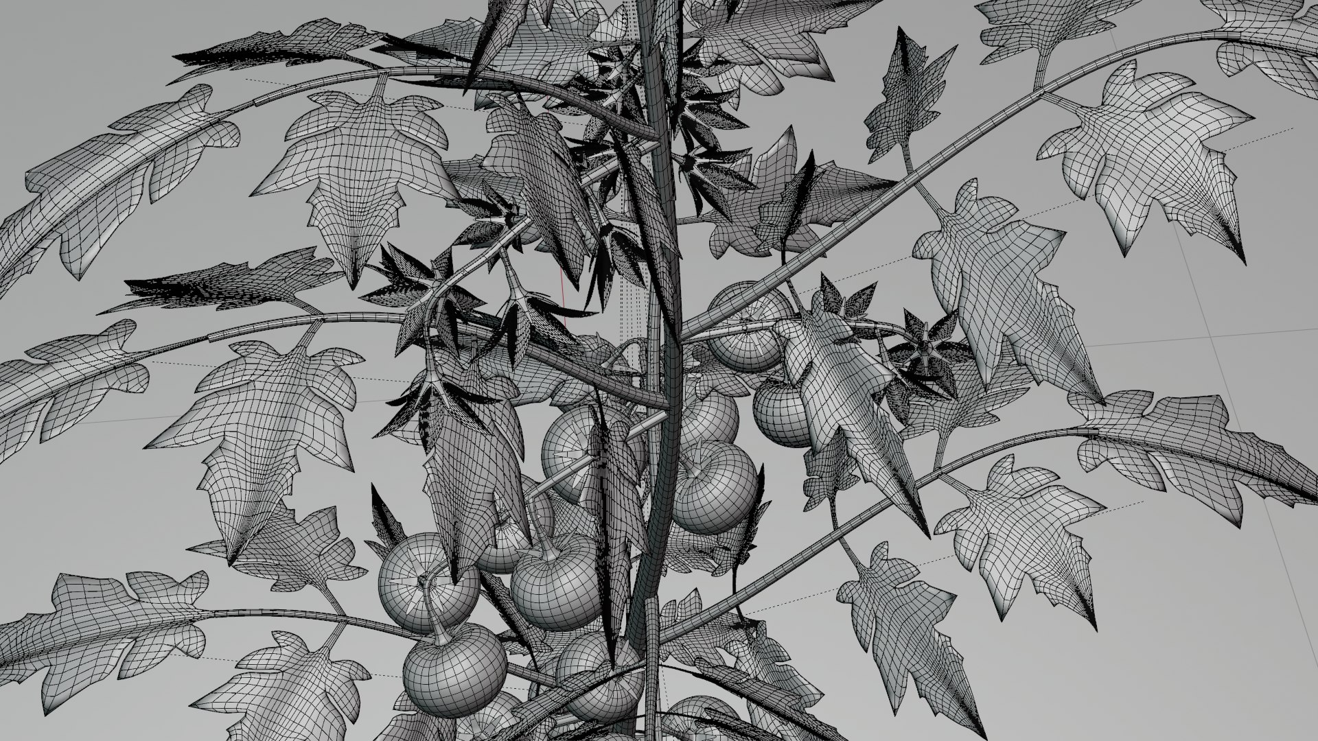 3D Tomato Plant https://p.turbosquid.com/ts-thumb/N1/UeCDP0/Mb/019untitled/png/1682953271/1920x1080/fit_q87/88a284263865986622c87375a71312e74bfdb4cc/019untitled.jpg