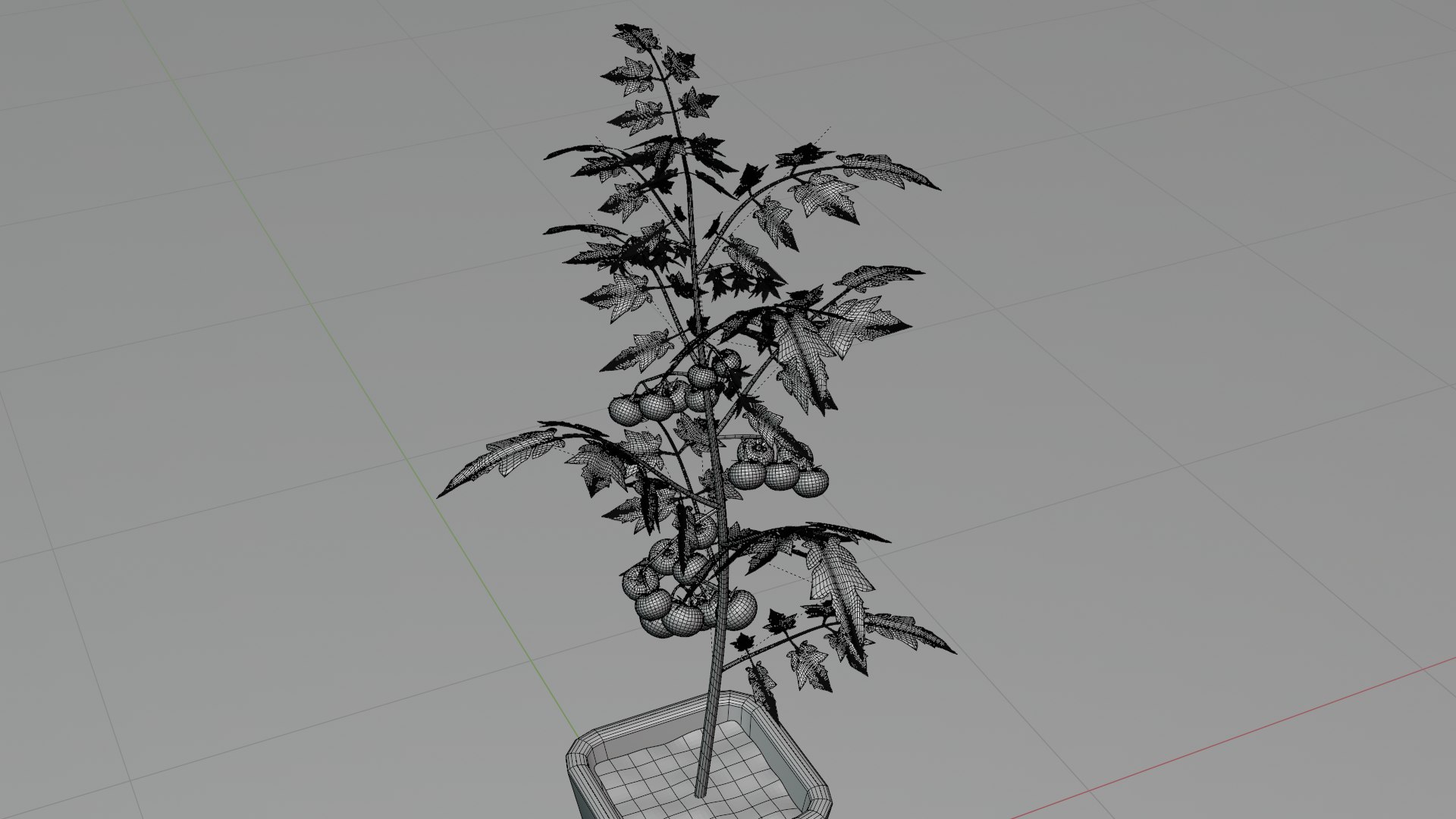 3D Tomato Plant https://p.turbosquid.com/ts-thumb/N1/UeCDP0/Su/018untitled/png/1682953274/1920x1080/fit_q87/675c1680b4f81a8e2a79748bb4149b6f4dd4f3a0/018untitled.jpg