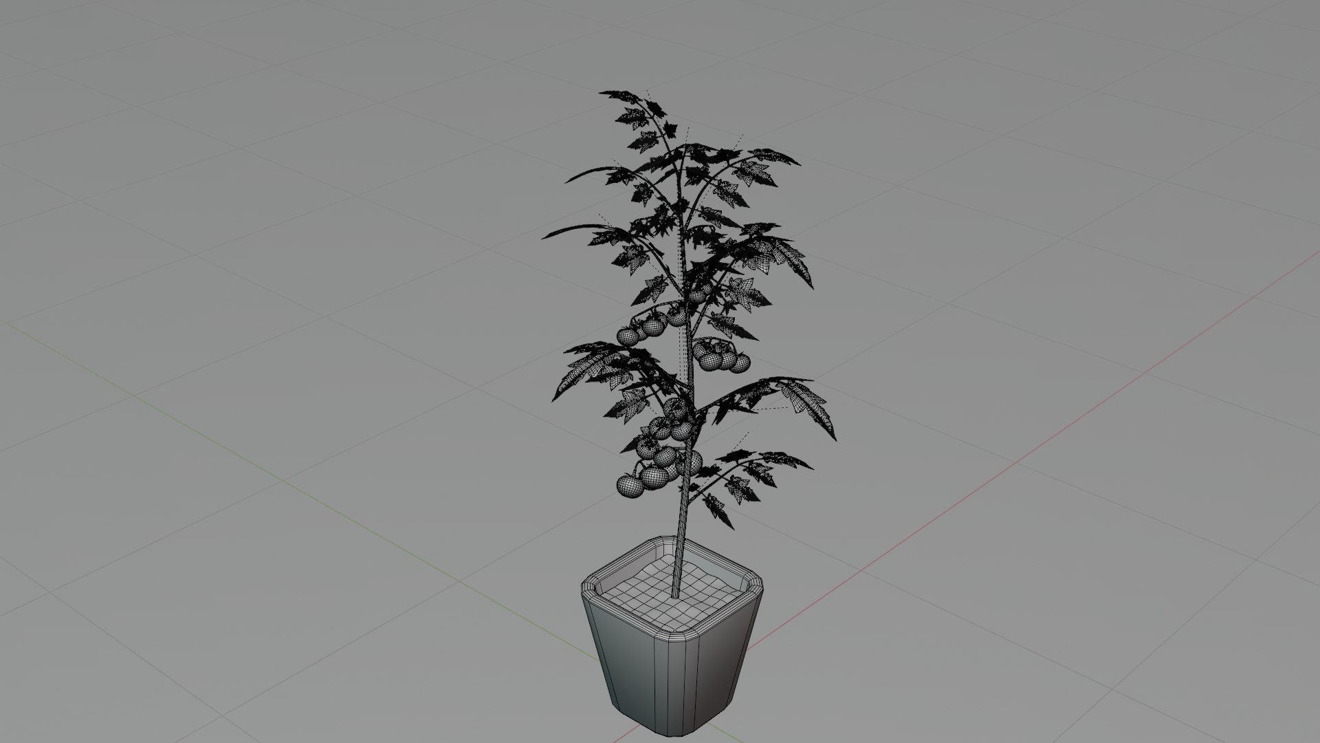 3D Tomato Plant https://p.turbosquid.com/ts-thumb/N1/UeCDP0/sm/016untitled/png/1682953552/1920x1080/fit_q87/73dc4fd1f4cd1335226fa1e38b1ad6e05ed6c227/016untitled.jpg