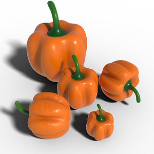 Orange Bell Pepper