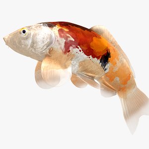 Japanese Carp Fish Rigged L1756 3D model