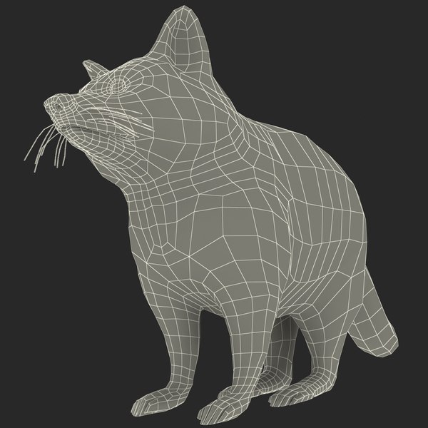 raccoon animal modelled 3d model