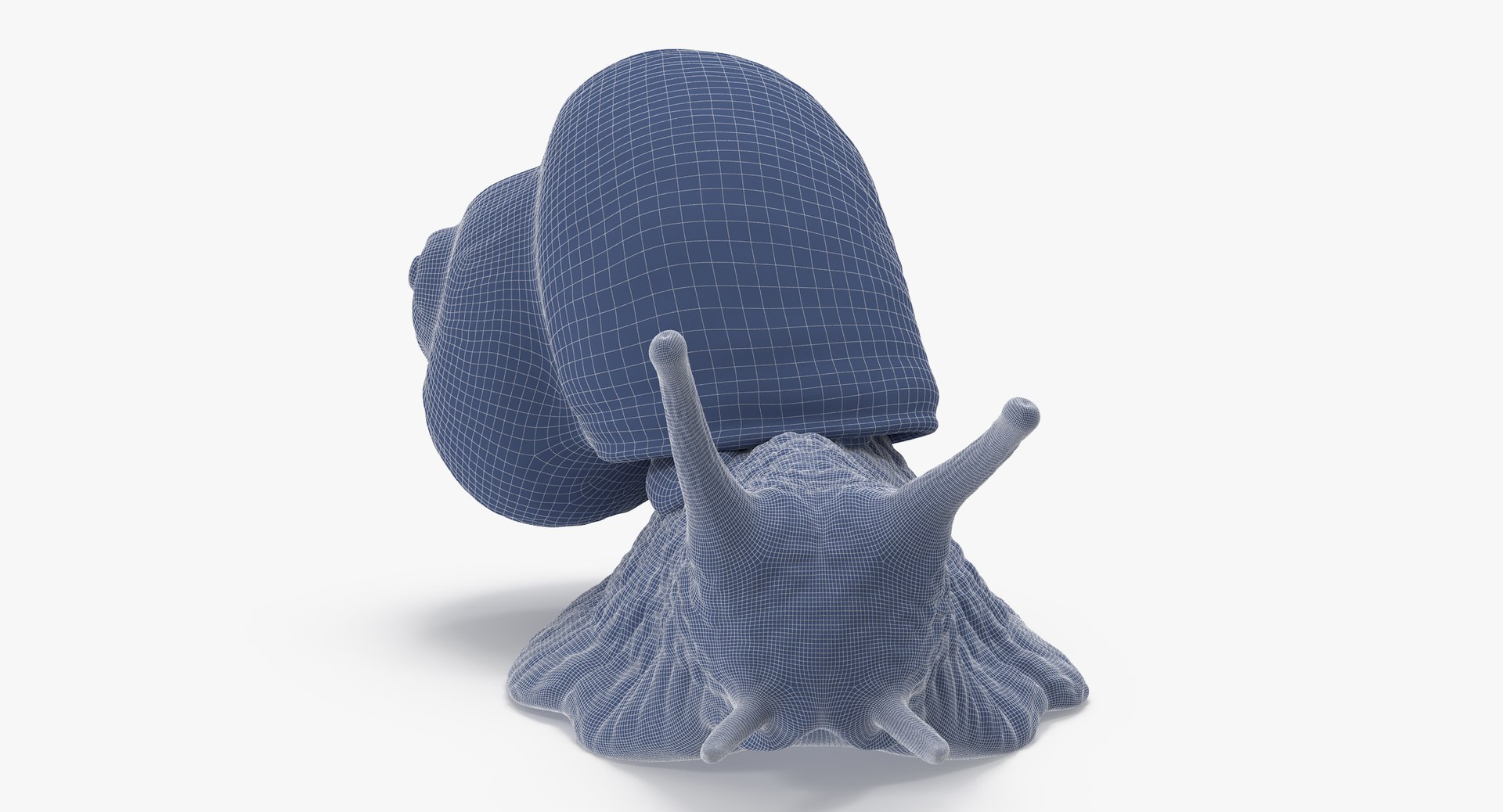 Snail 02 Max