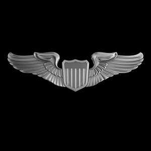 3d model air force pilot badge