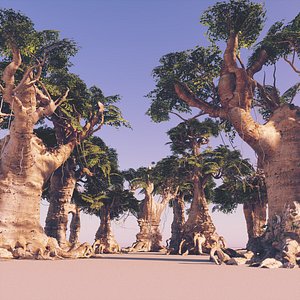 Baobab Forest Pack 12 Animated