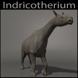 Indricotherium 3D - Pre-historic mammal