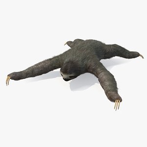 3D model Sloth Fur
