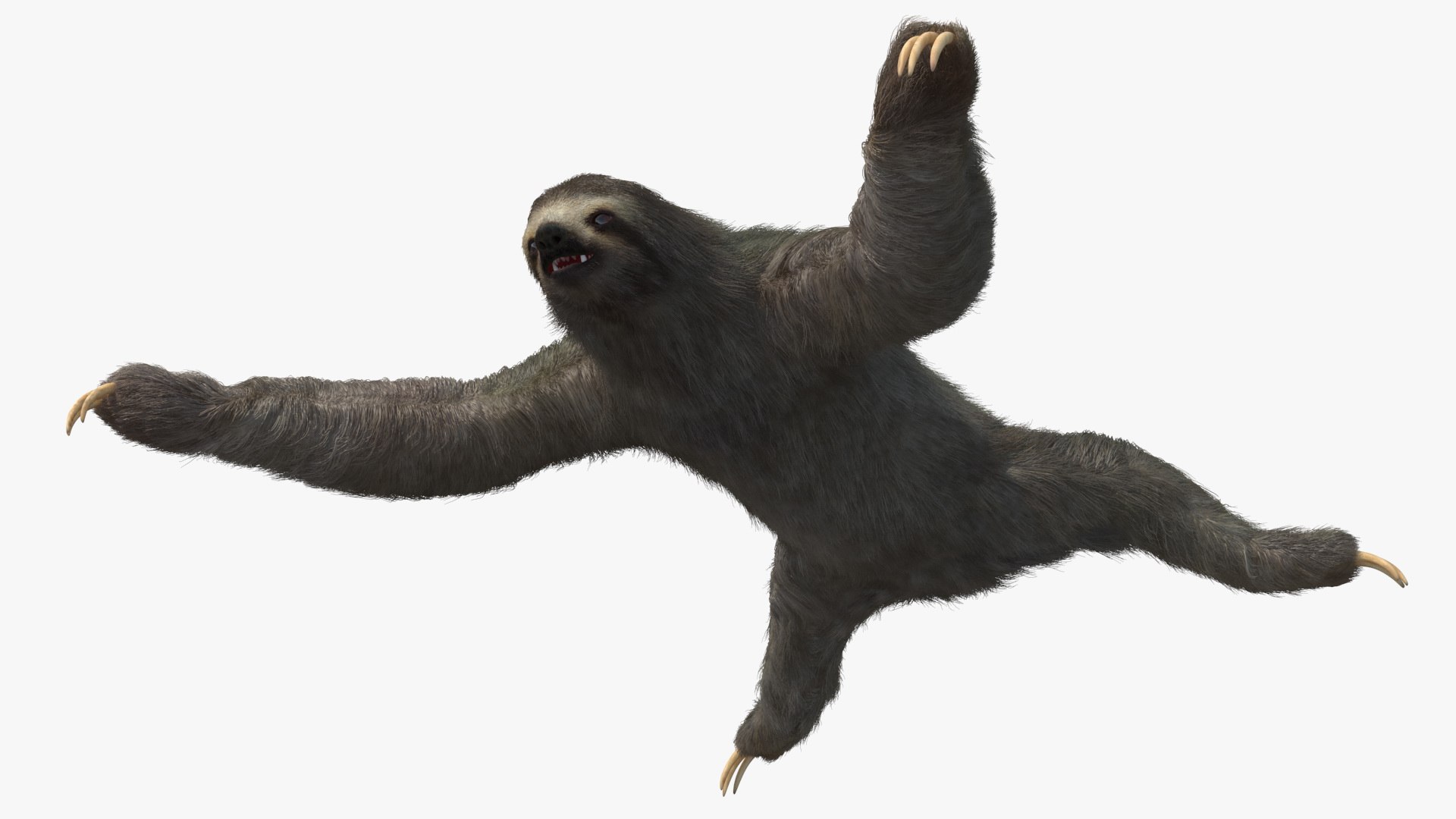 3D Model Sloth Fur - TurboSquid 2177597