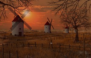meadow sunset windmill 3D model