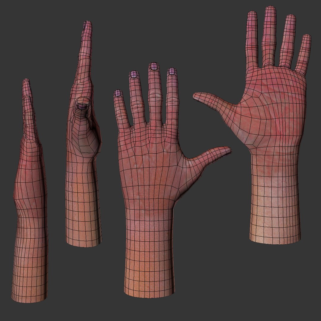 3dsmax Hand Anatomy