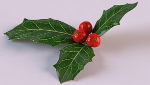 3D holly berries leaf plant