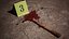 CrimeScenePack
