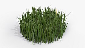 3D grass cluster - model