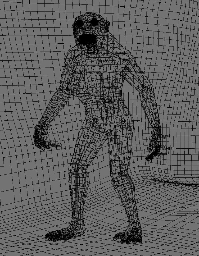 3d Model Lucy Australopithecus