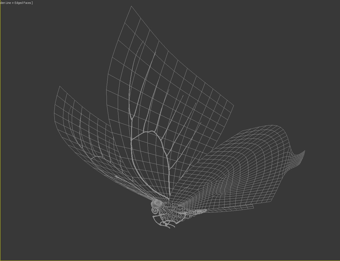 max flying butterfly https://p.turbosquid.com/ts-thumb/N2/YoY96U/608aDDAe/wireframe_4/jpg/1371641226/1920x1080/fit_q87/4ff90c1f14464e7e5e7a2d0b2cde82bfb43a4896/wireframe_4.jpg