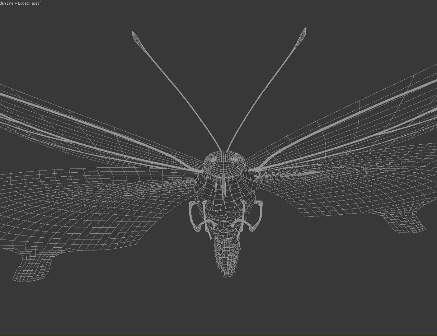 max flying butterfly https://p.turbosquid.com/ts-thumb/N2/YoY96U/81WiCfBe/wireframe_2/jpg/1371641226/1920x1080/fit_q87/cb7e5be0e521698cfb81e5f55ed18788024c6283/wireframe_2.jpg