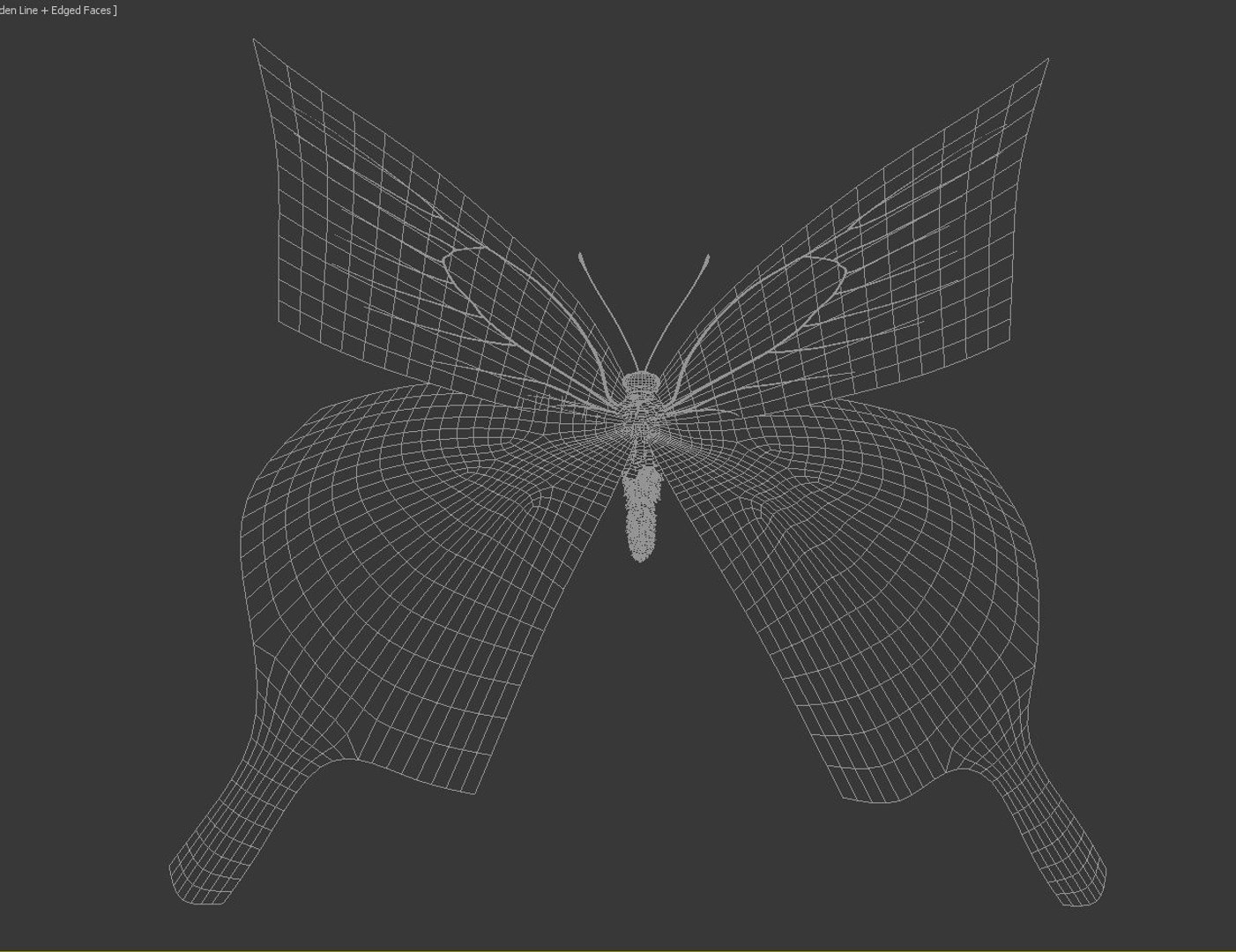 max flying butterfly https://p.turbosquid.com/ts-thumb/N2/YoY96U/VXWqWrPr/wireframe_3/jpg/1371641226/1920x1080/fit_q87/354215c034025bea114e258a255826302009954d/wireframe_3.jpg