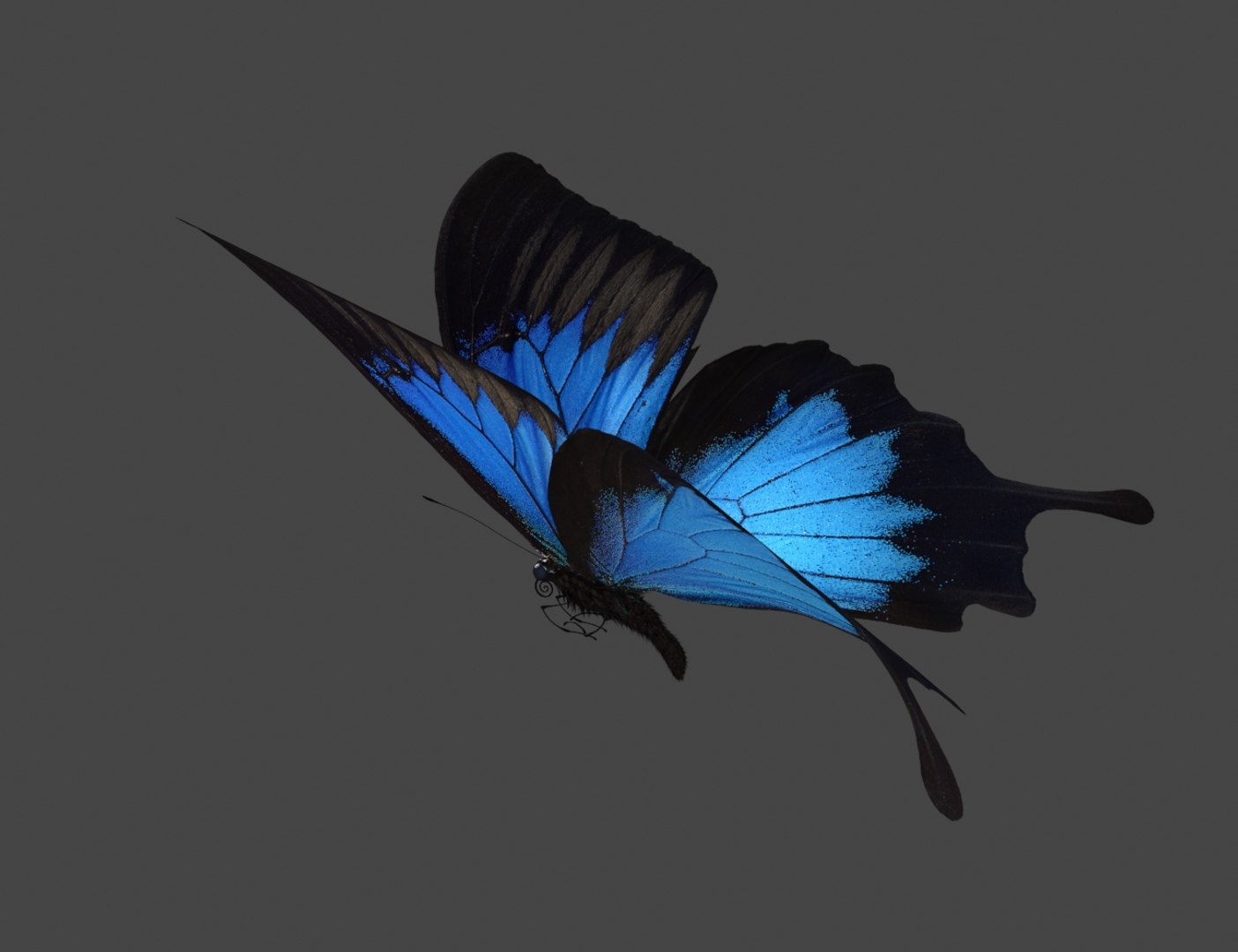 max flying butterfly https://p.turbosquid.com/ts-thumb/N2/YoY96U/mtu8Z1hQ/butterfly_4/jpg/1371641226/1920x1080/fit_q87/c7874c09eb797a22564f217c34fc9456c7d272ea/butterfly_4.jpg