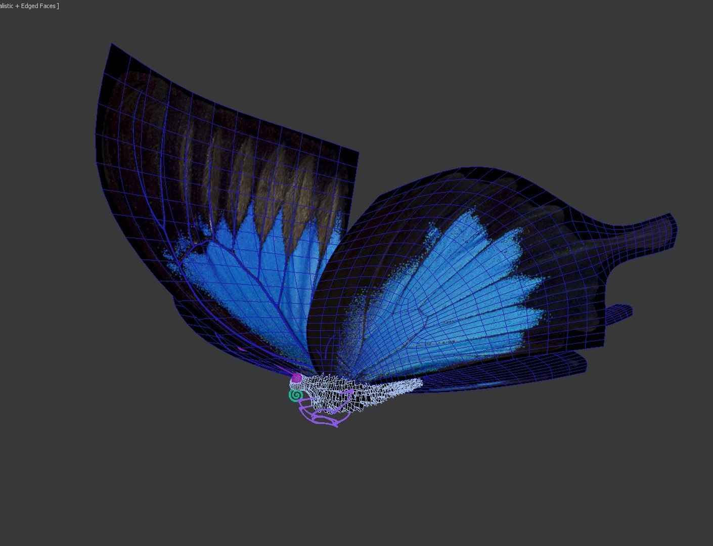 max flying butterfly https://p.turbosquid.com/ts-thumb/N2/YoY96U/t02yeL3o/wireframe_5/jpg/1371641226/1920x1080/fit_q87/09b4feed061a4f76ad40d212abf7e1b3138a05cd/wireframe_5.jpg