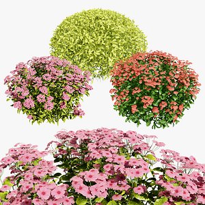 3D Spring Gold Spirea model