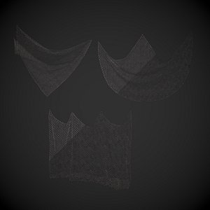 Fishing Net - Intact and Damaged