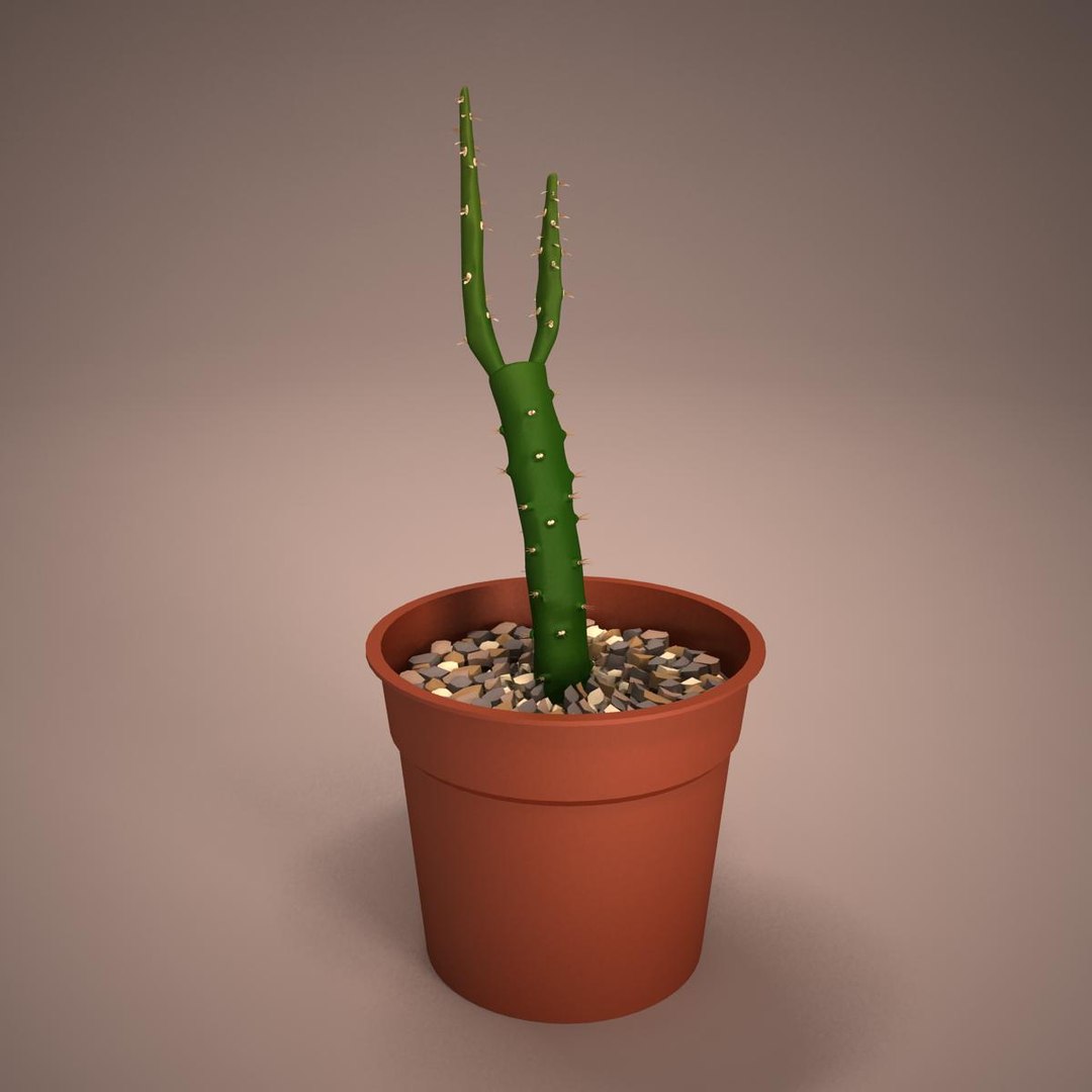 3D Home Essentials Pack  1 https://p.turbosquid.com/ts-thumb/N2/mLfAYw/EWQPqPi1/01a/jpg/1789457512/1920x1080/fit_q87/929d390c1d675a4b984ed639011e4585c6c7ebb3/01a.jpg