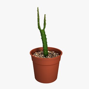 3d cactus pot