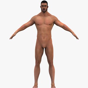 human male 3D model