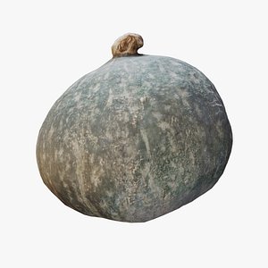 Pumpkin Scan