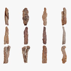 12 3D Scanned Big Wood Bark Samples 3D model