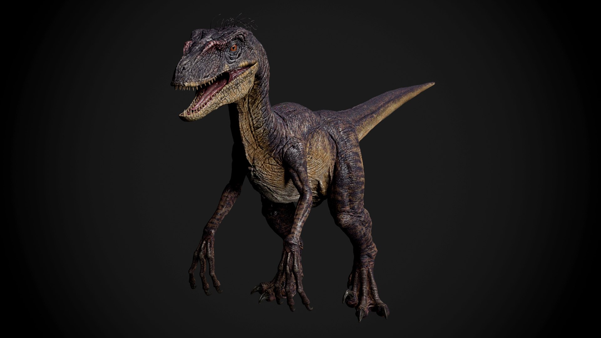 3dsmax velociraptor raptor https://p.turbosquid.com/ts-thumb/N2/y2NMbU/G3aKJlLy/r01/jpg/1446970312/1920x1080/fit_q87/5b53b9a6d9d2016967d5f9736dc29f4e21aeee15/r01.jpg