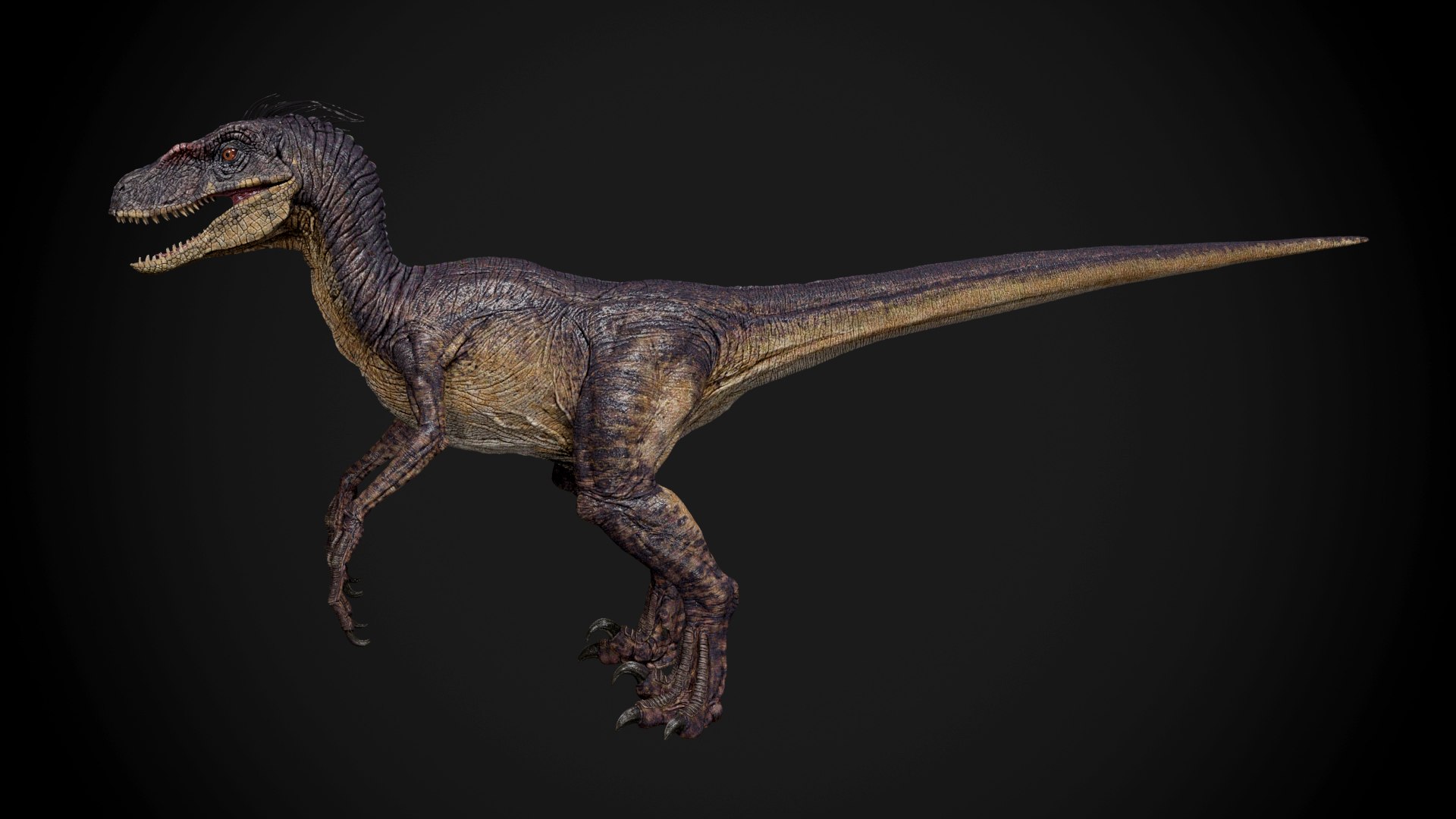 3dsmax velociraptor raptor https://p.turbosquid.com/ts-thumb/N2/y2NMbU/Oa6hDw9o/r03/jpg/1446970312/1920x1080/fit_q87/96ccd22b7a7b156f0f302c824748266374997e8f/r03.jpg