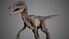 Velociraptor