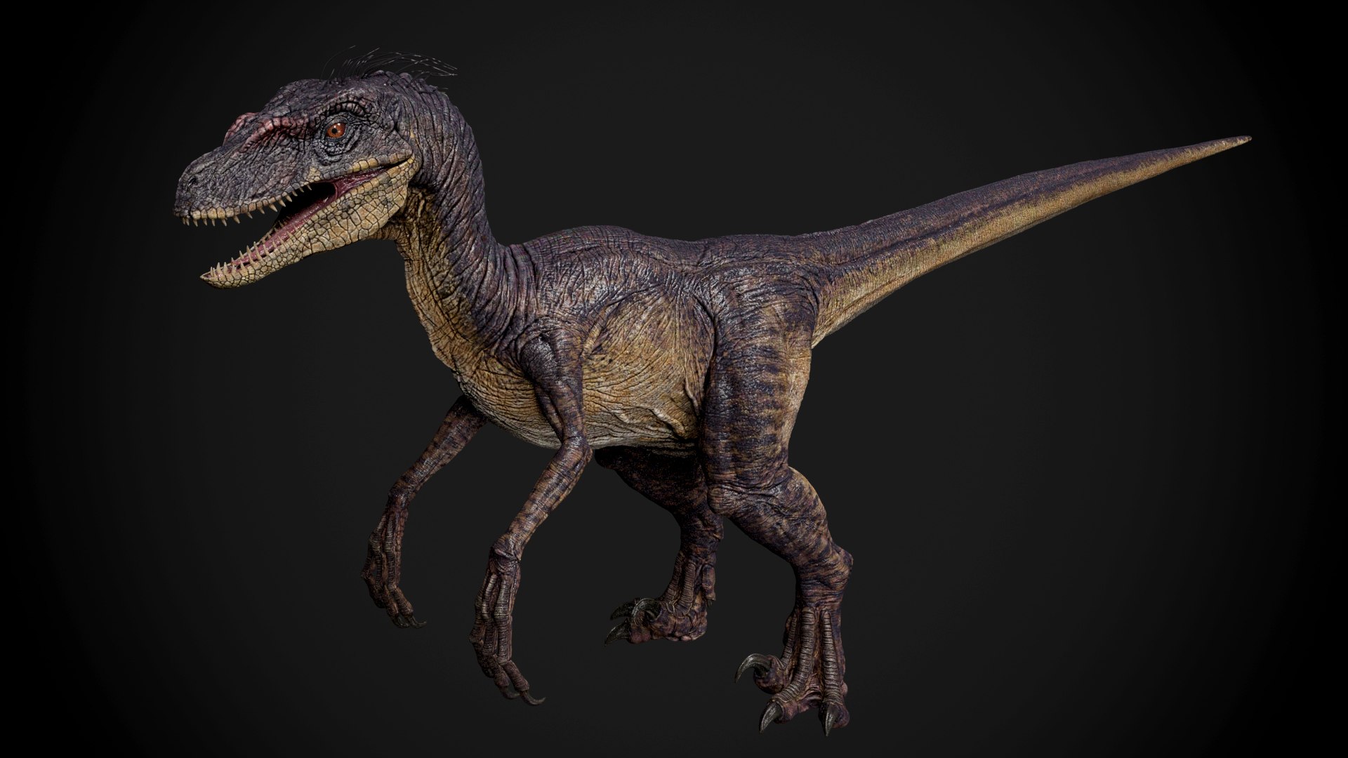 3dsmax velociraptor raptor https://p.turbosquid.com/ts-thumb/N2/y2NMbU/laMo8Uis/r02/jpg/1446970312/1920x1080/fit_q87/414b53cfc3a0d315b45f14fd95ba01803a39dc74/r02.jpg
