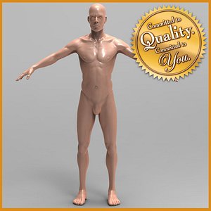 human male 3d model