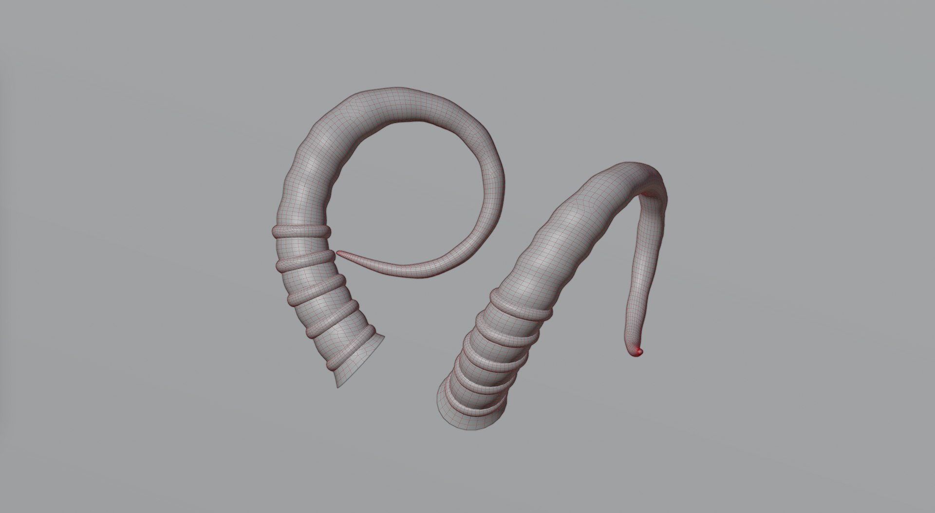Horns 2 3D - TurboSquid 1843229