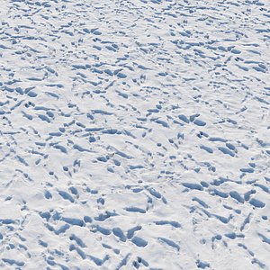 Ultra realistic Snow ground Scan