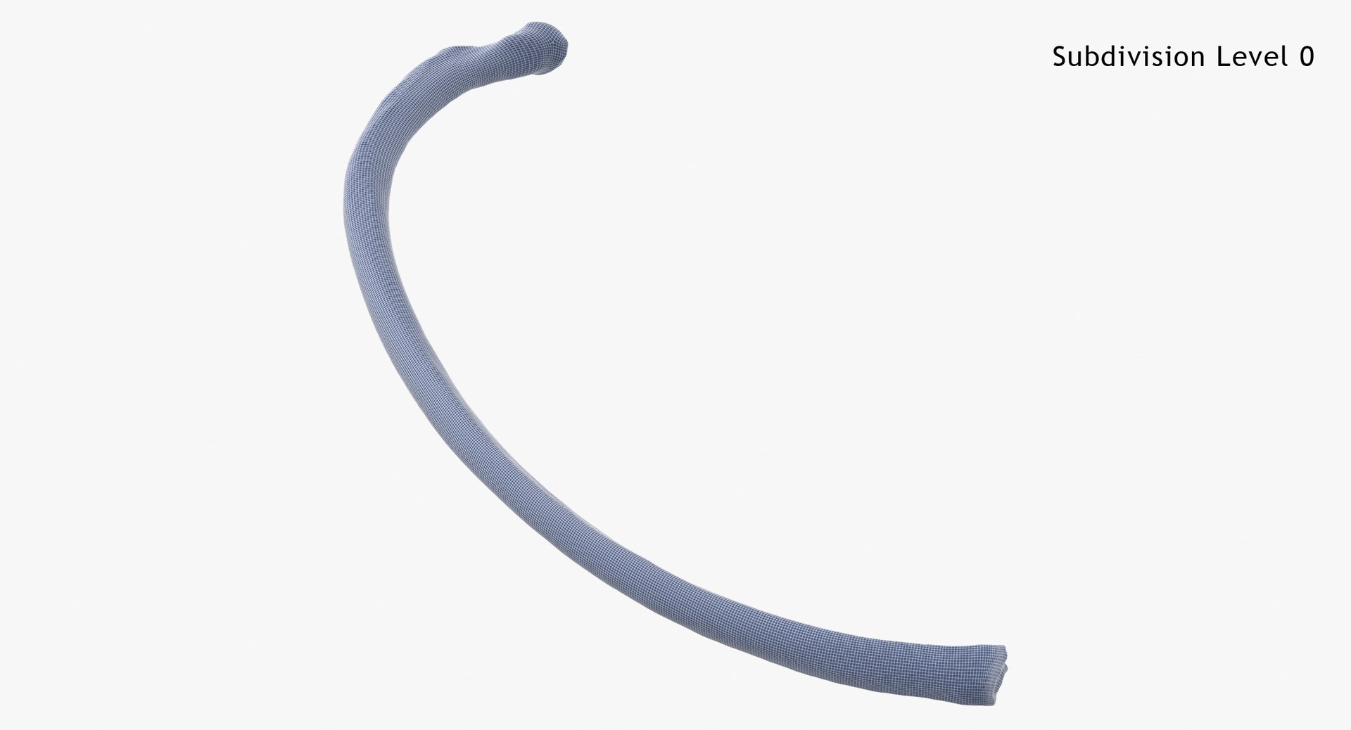 3D Model Bear Ursus Rib T7 - TurboSquid 2131833